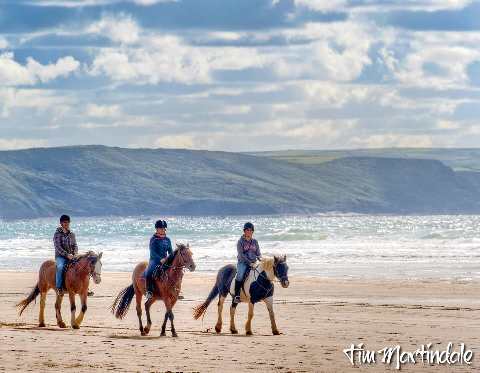 Horseriding along the beach at Bude