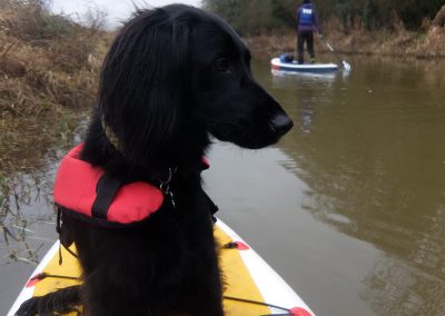 Dog paddleboarding on the Bude canal !