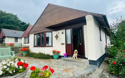 Dogs welcome in all three cottages